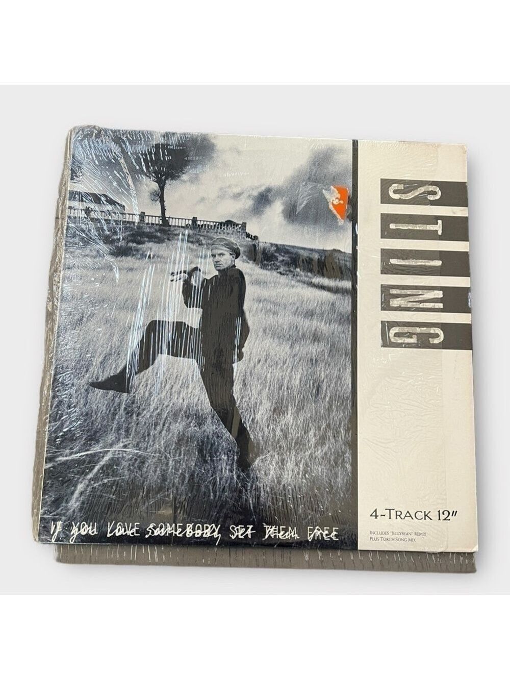 Sting If You Love Somebody Set Them Free 12’ Vinyl Record